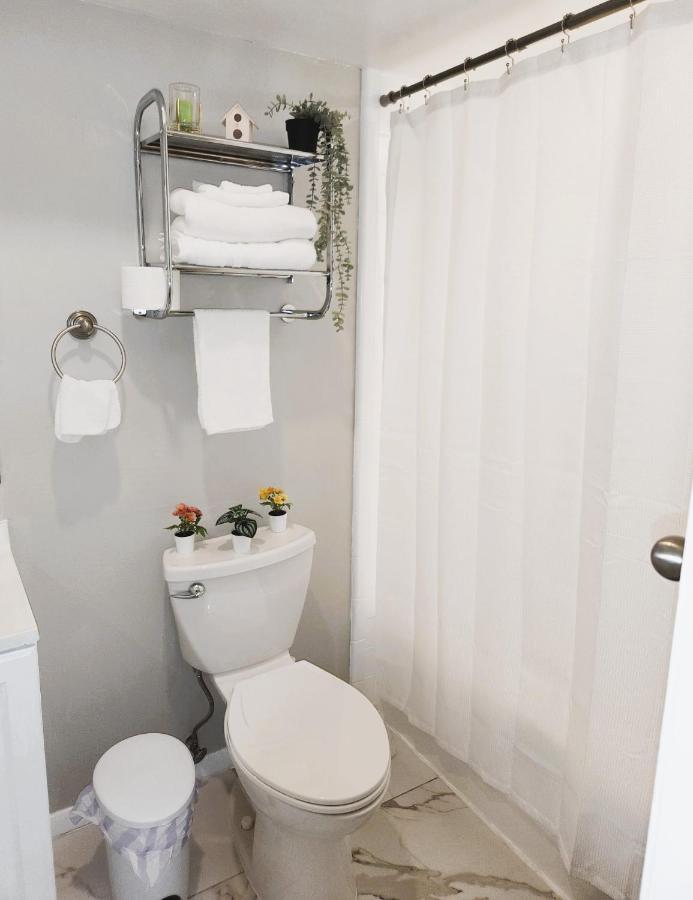 Adorable Mini Suite In Tampa Eksteriør billede